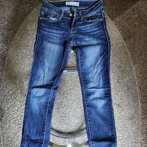 BKE Stella Skinny Jeans